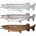 LakeFinity Double pack